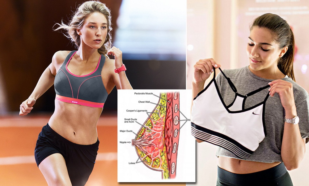 Does Wearing a Sports Bra Prevent Breast Growth Nošení sportovní podprsenky zabraňuje růstu prsou