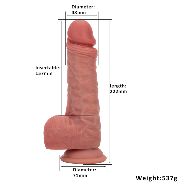 BF-51317-D (6)(1)