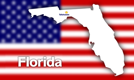 state florida custody laws laghan grèim stàite florida
